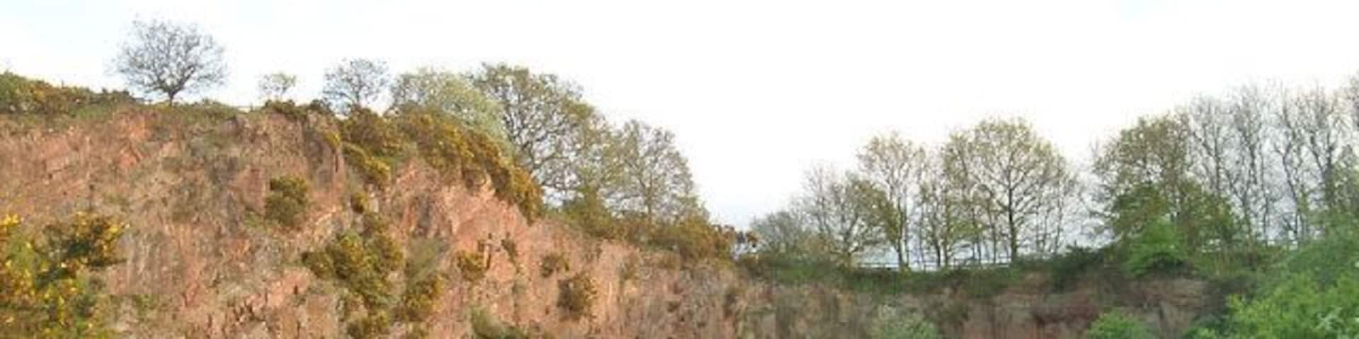 Morley Quarry, Shepshed, looking south. Charnwood Borough Council acquired this site, ostensibly to equip for climbing. Although it isn't actually much good for climbing, it does show the outline of a wadi (desert stream) bed infilled with Triassic-Rhaetic marls at the top of the southern face. The eastern face, seen here, reveals northward sloping Charnwood volcanics of Precambrian age. The quarry would have been built to excavate one of the many syenite intrusions in Charnwood Forest.