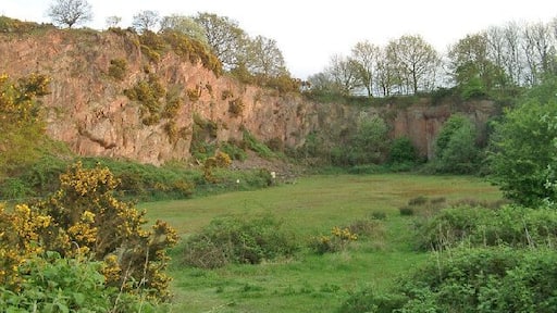Morley Quarry, Shepshed, looking south. Charnwood Borough Council acquired this site, ostensibly to equip for climbing. Although it isn't actually much good for climbing, it does show the outline of a wadi (desert stream) bed infilled with Triassic-Rhaetic marls at the top of the southern face. The eastern face, seen here, reveals northward sloping Charnwood volcanics of Precambrian age. The quarry would have been built to excavate one of the many syenite intrusions in Charnwood Forest.