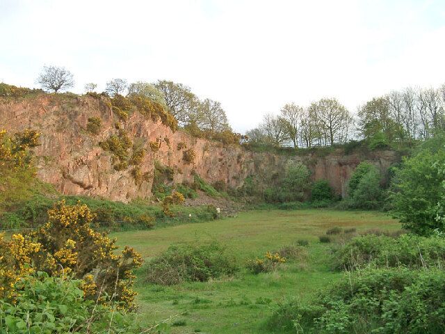 A grassy field with a rocky cliff and trees in the background.