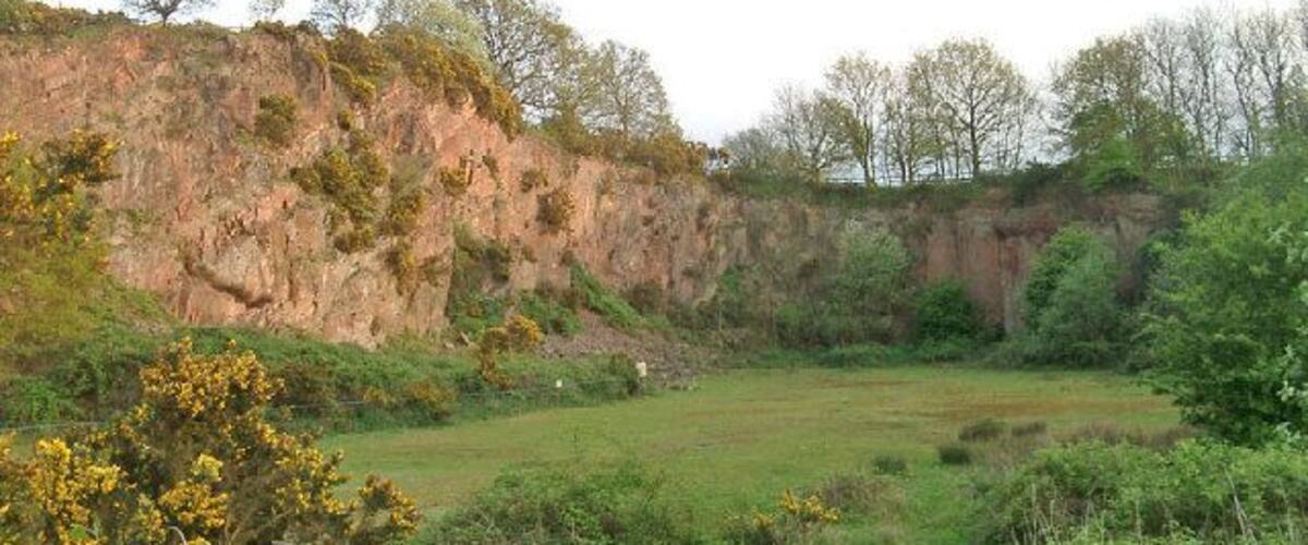 A grassy field with a rocky cliff and trees in the background.