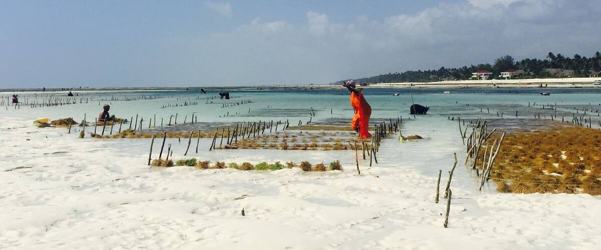 Low tide - Tanzania // September 2015