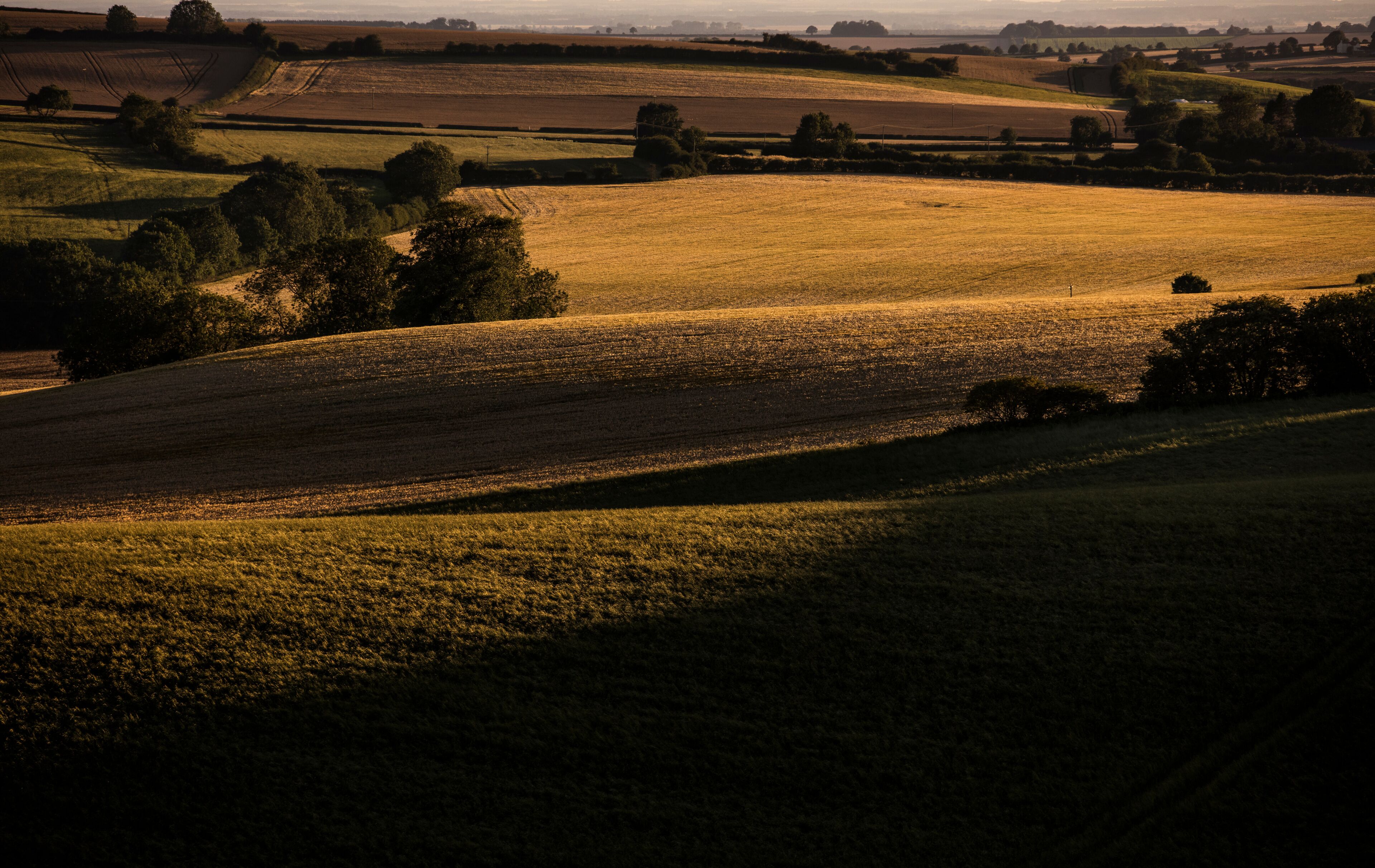 Rolling hills with fields and scattered trees.