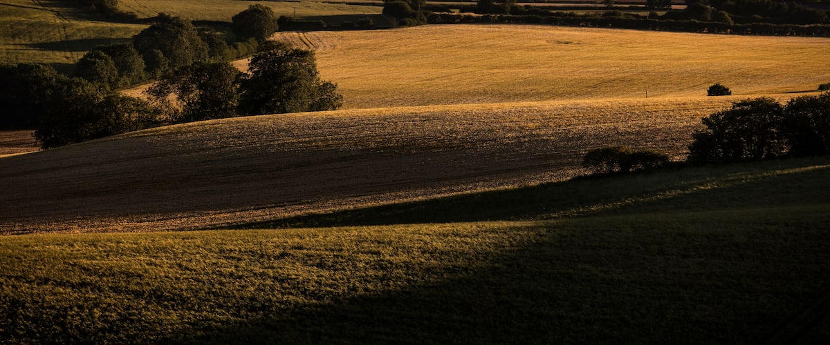 Rolling hills with fields and scattered trees.
