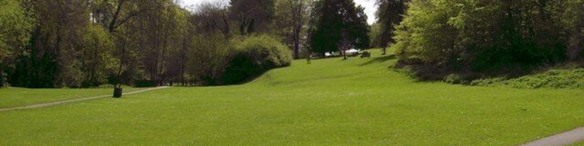 Um parque com um campo gramado, um caminho para pedestres e árvores.