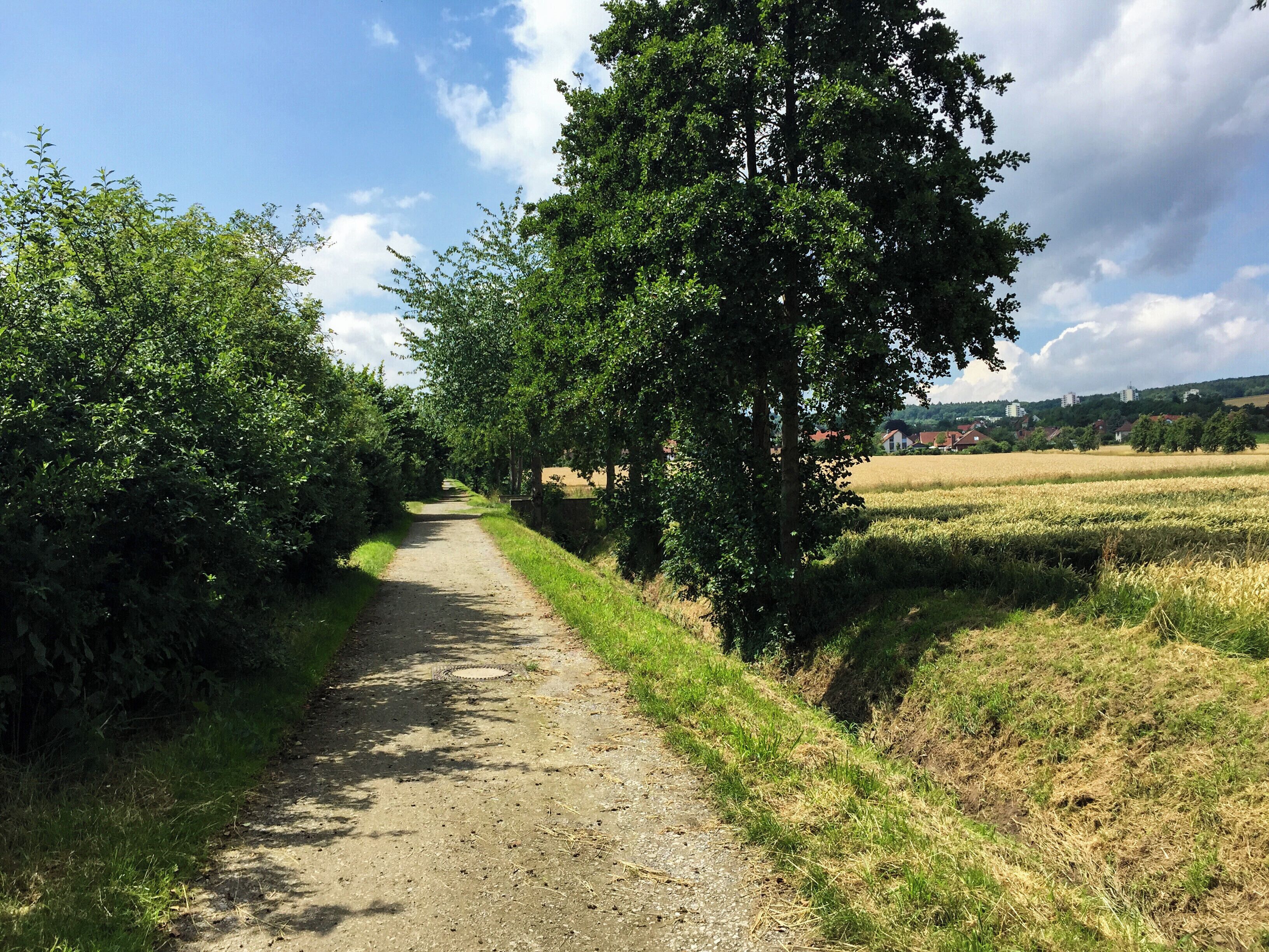 Blick auf Feldweg Richtung Neuhof