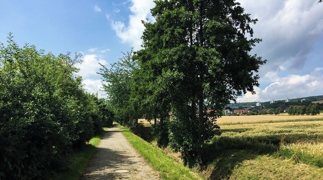 Blick auf Feldweg Richtung Neuhof