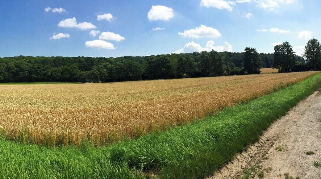 Blick auf den Steinberg