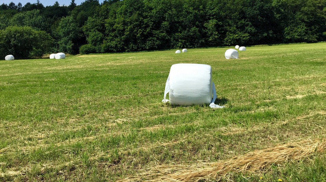 Blick auf das Naturschutzgebiet Finkenberg/Lerchenberg