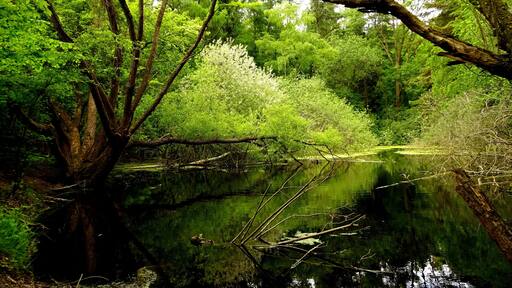 Protected landscape area Vorholzer Bergland LSG HI-S 00013, Lower Saxony