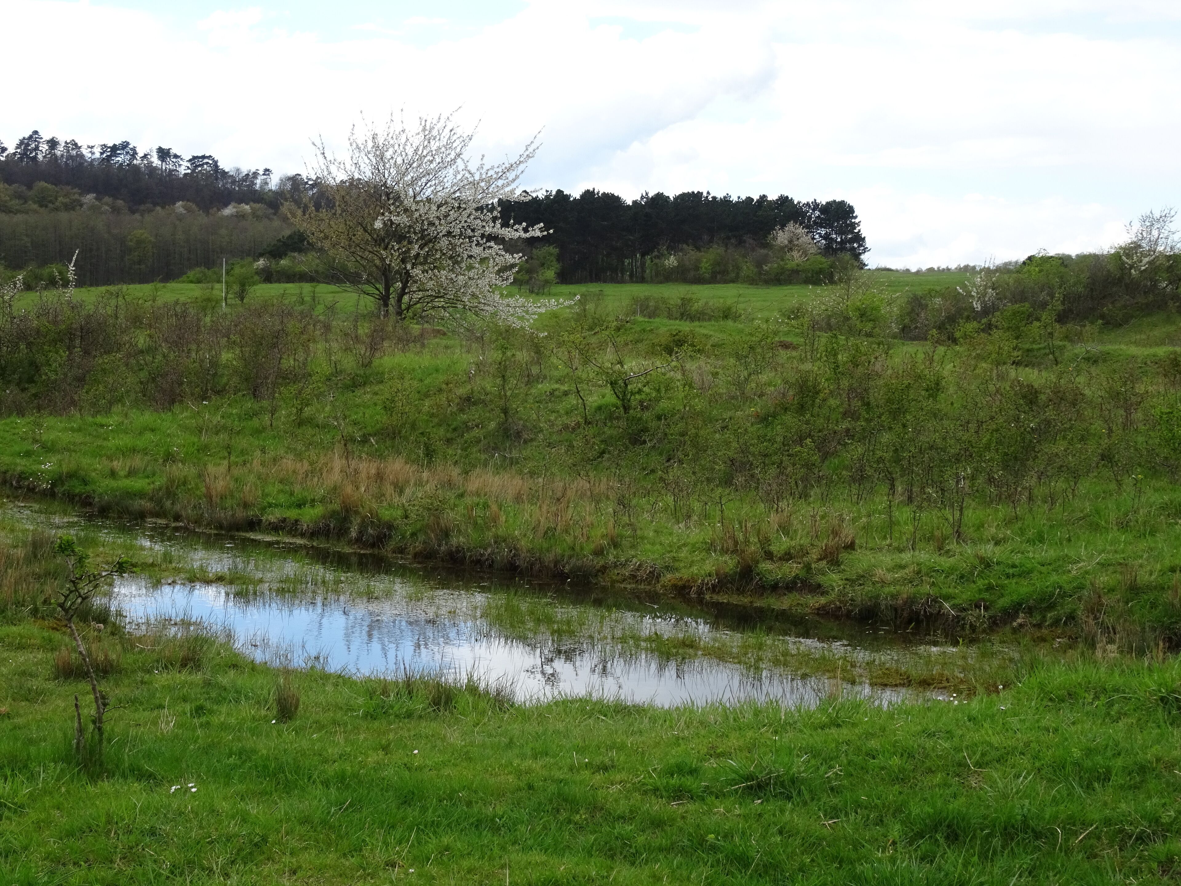 HA 218 Lange Dreisch - Osterberg Alte Panzerspur