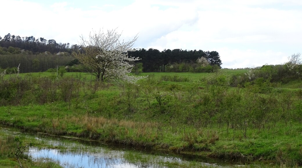 HA 218 Lange Dreisch - Osterberg Alte Panzerspur
