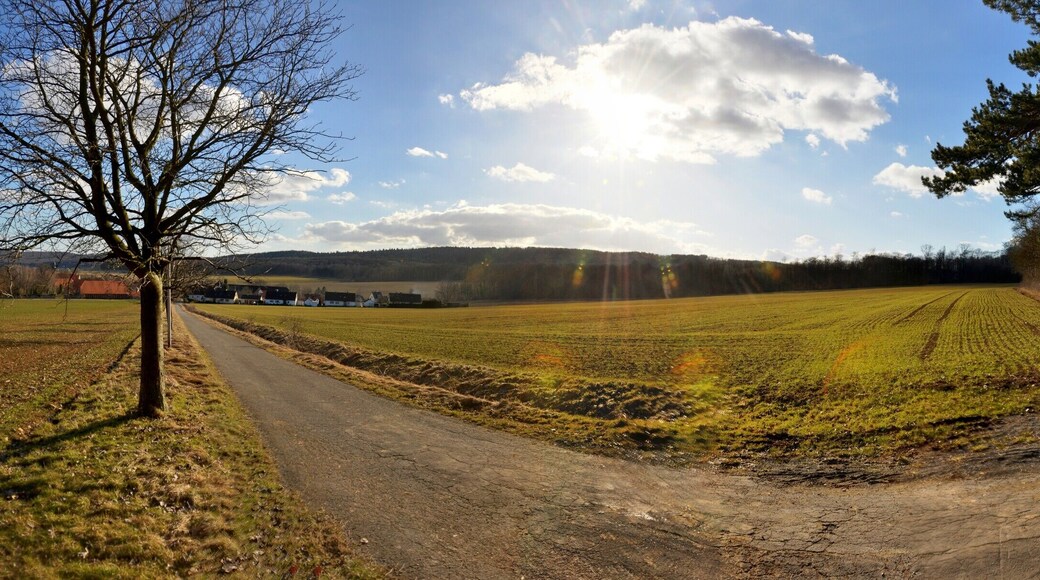 Marienrode, 06.03.2011, 15:44Uhr