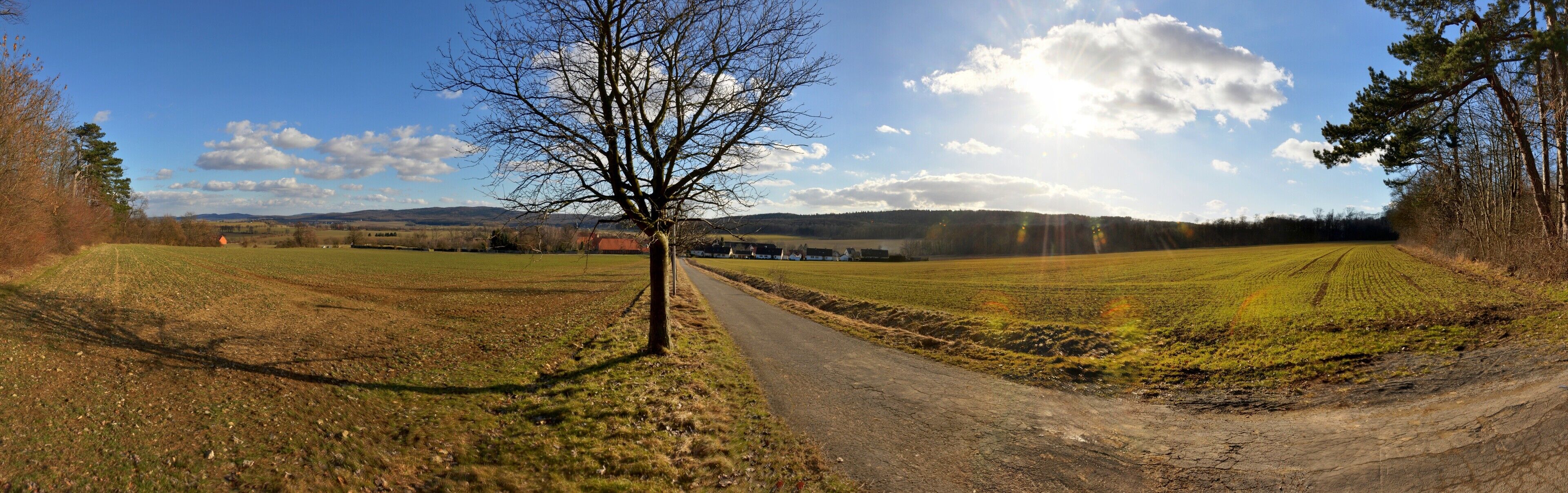 A rural landscape with a dirt road, fields, a leafless tree, and distant hills under a partly cloudy sky.