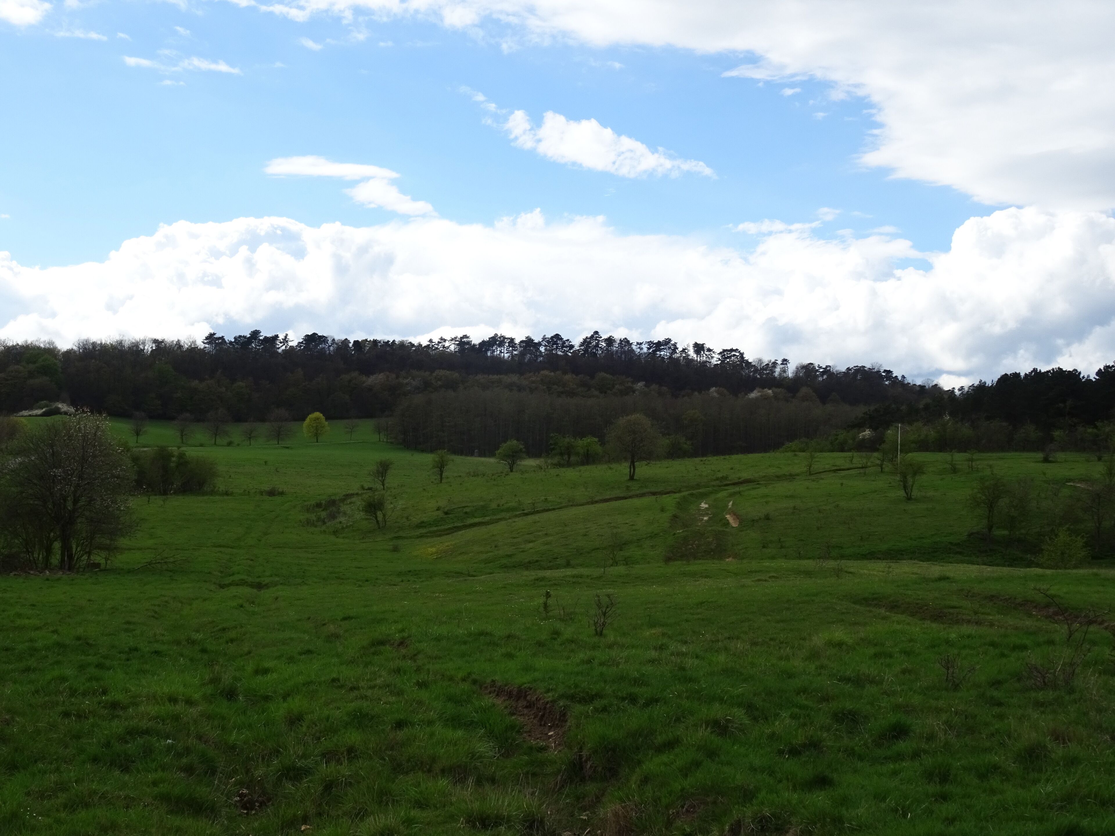 HA 218 Lange Dreisch - Osterberg