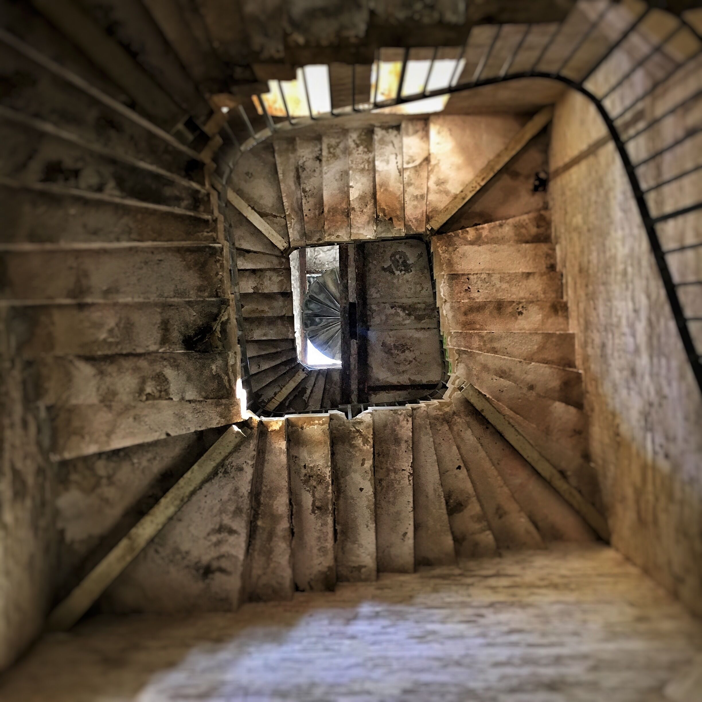 Nice Spot in the Woods 