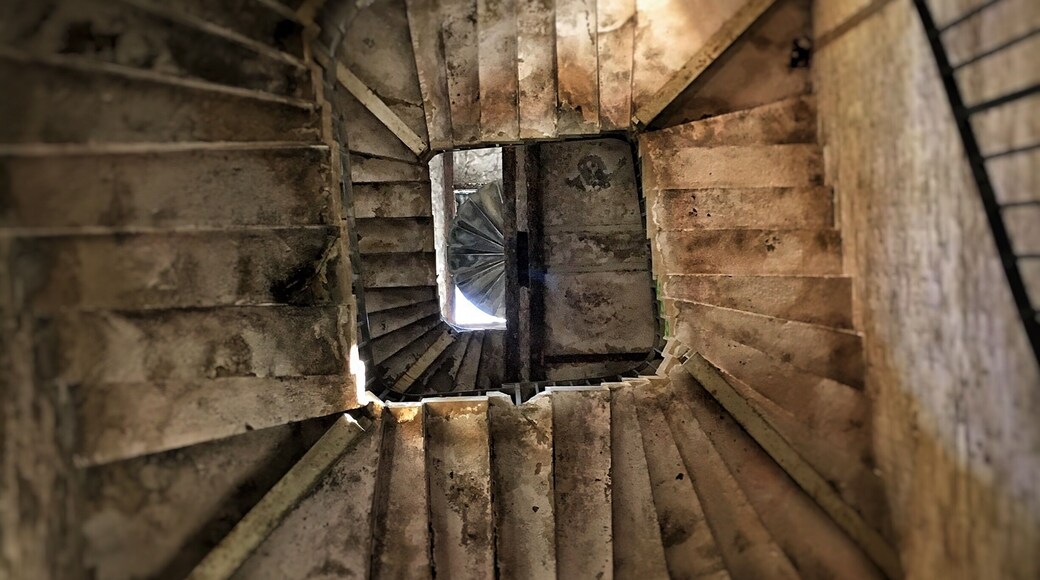 Nice Spot in the Woods