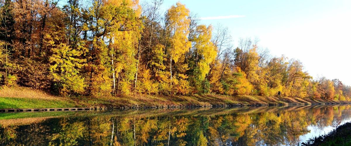 A calm river reflecting autumn trees.