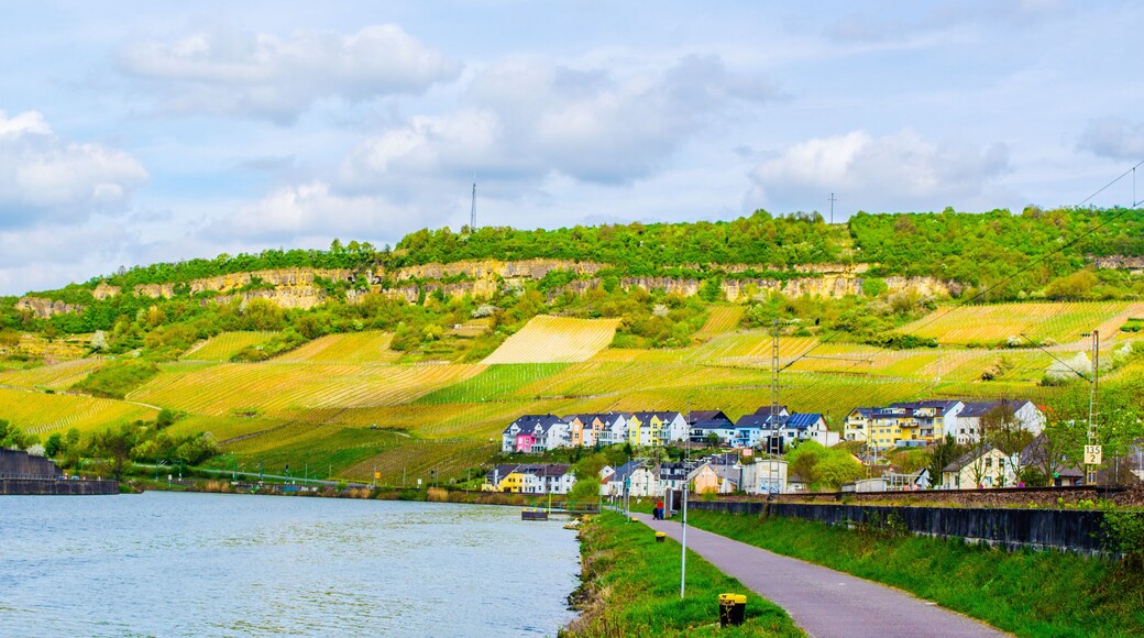 Moselle river flowing through wine heart of luxembourg and passing many small villages.