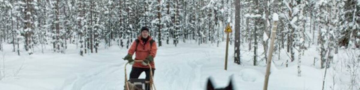 When you are in the eastern region of Finland in the winter a dog sledding adventure is a must. It was our means of transportation from one guest house to our next hotel. The dogs at Routa Travel are simply beautiful, friendly and love to run. Most importantly they are very well taken care of.
http://www.hecktictravels.com/dog-sledding