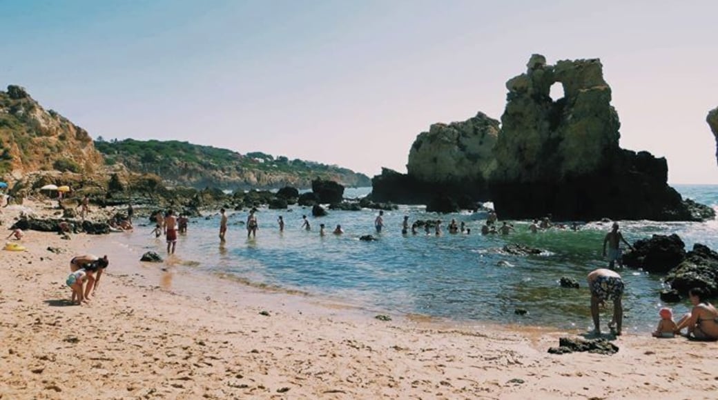 "The ocean stirs the heart, inspires the imagination and brings eternal joy to the soul."
Robert Wyland