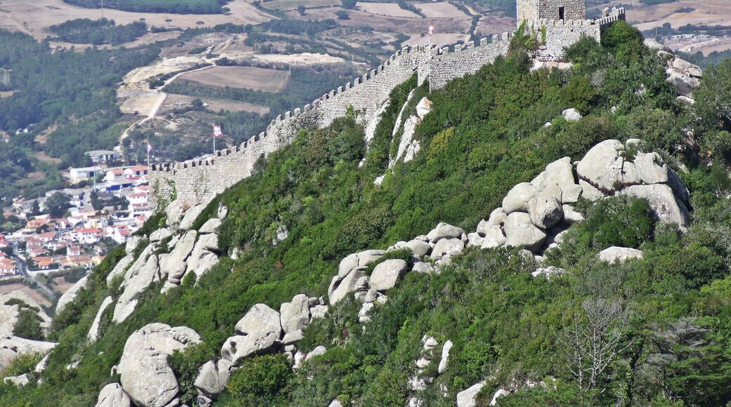 Visto do Palácio da Pena