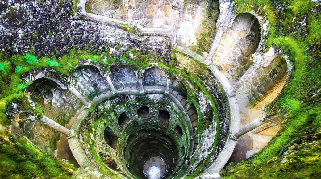 Ok, so at the very bottom of this crazy well there is an underground labyrinth.. and to get out from the top you have to search for a movable wall! Quinta da Regaleira you weird, intricate, amazing estate you.
#travel #portugal #sintra #quintadaregaleira #architecture #colorful