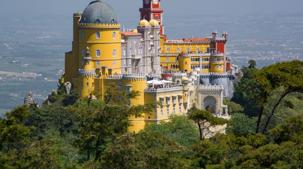 If you visit Sintra, Portugal, be sure to visit Palacio Pena. The walk leading up to the palace is just stunning.