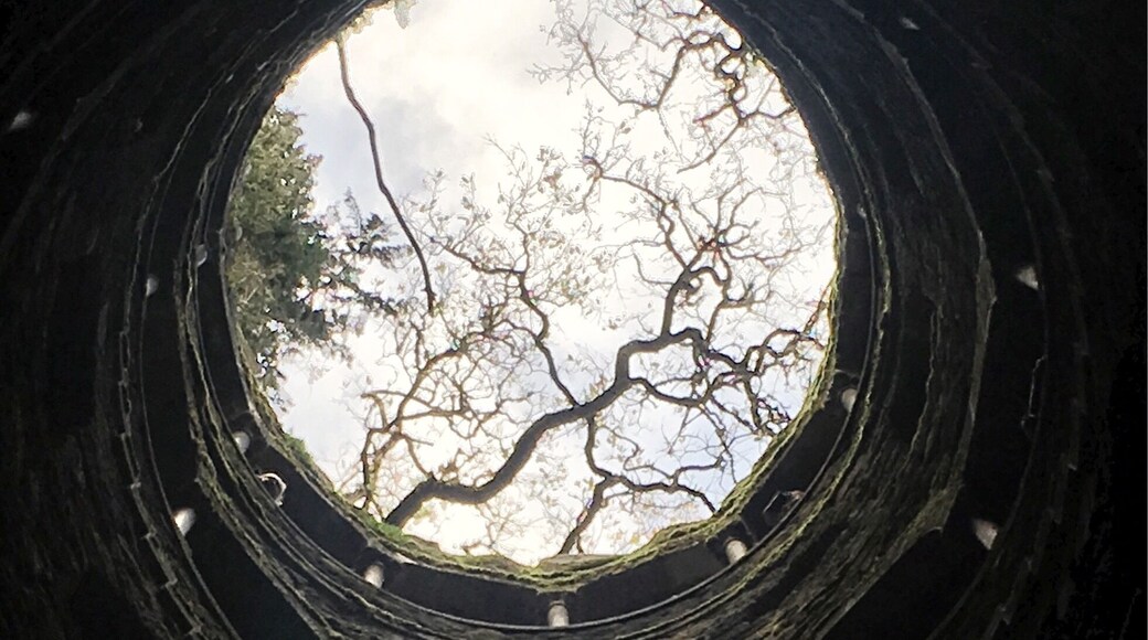 Poço Iniciático
Sintra- Portugal
#quintadaregaleira #sintra #portugal
#UrbanJungle