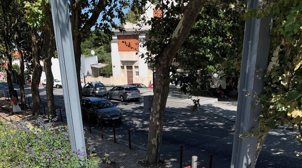 #praiadasmacas #sintra #portugal #tram
The trip by tram to Praia das Maçãs leaves from here. As we were informed, some of the departure times were canceled due to lack of trams (deficient maintenance). A pity because there is a lot of demand. The trip takes about 45 minutes and takes us through beautiful landscapes. The return can be made by bus, by taxi or by the tram itself.
A viagem de bonde, para a praia das Maçãs, sai daqui. Segundo nos informaram, alguns dos horários de saídas foram cancelados por falta de elétricos devido à deficiência na manutenção dos mesmos. Uma pena pois há muita procura. A viagem demora cerca de 45 minutos e nos leva por paisagens muito bonitas. A volta pode ser feita por ônibus, por táxi ou pelo próprio elétrico.
