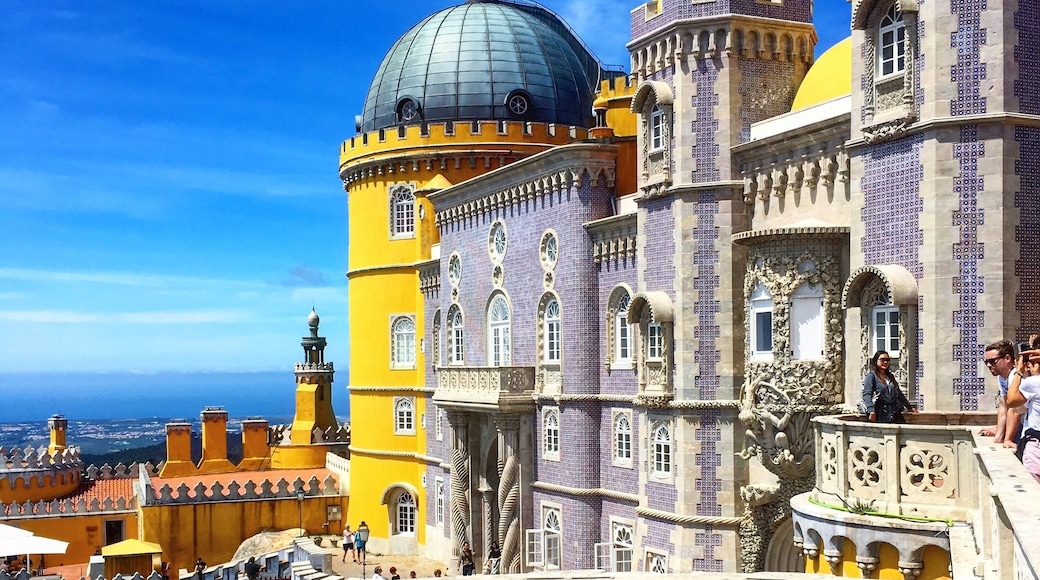 Big walk! 😄 Beautiful nature view.