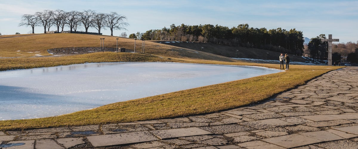 A park with a pond, a grassy area, and a paved walkway.