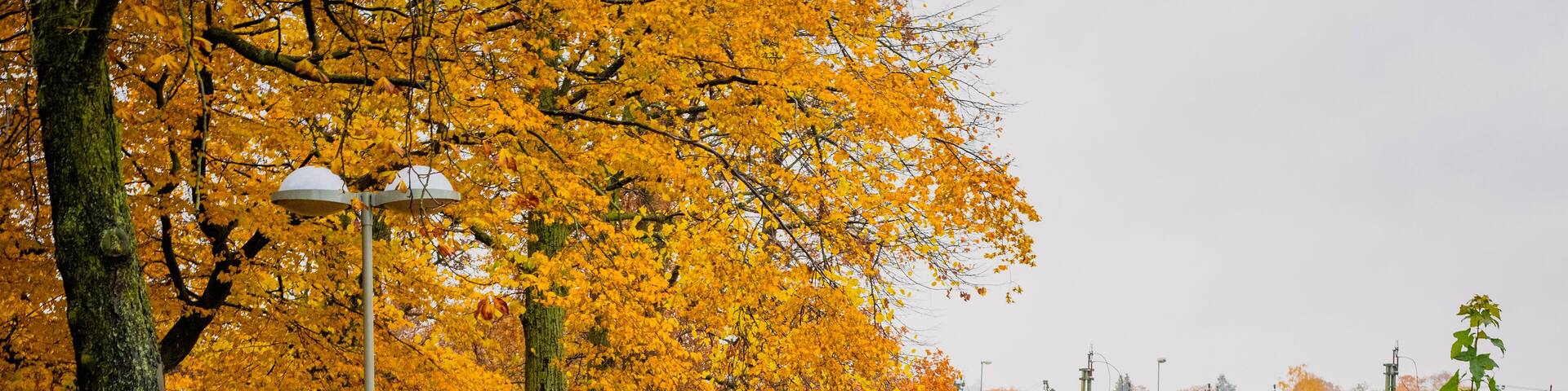 Autumn in Älvsjö, Stockholm, Sweden