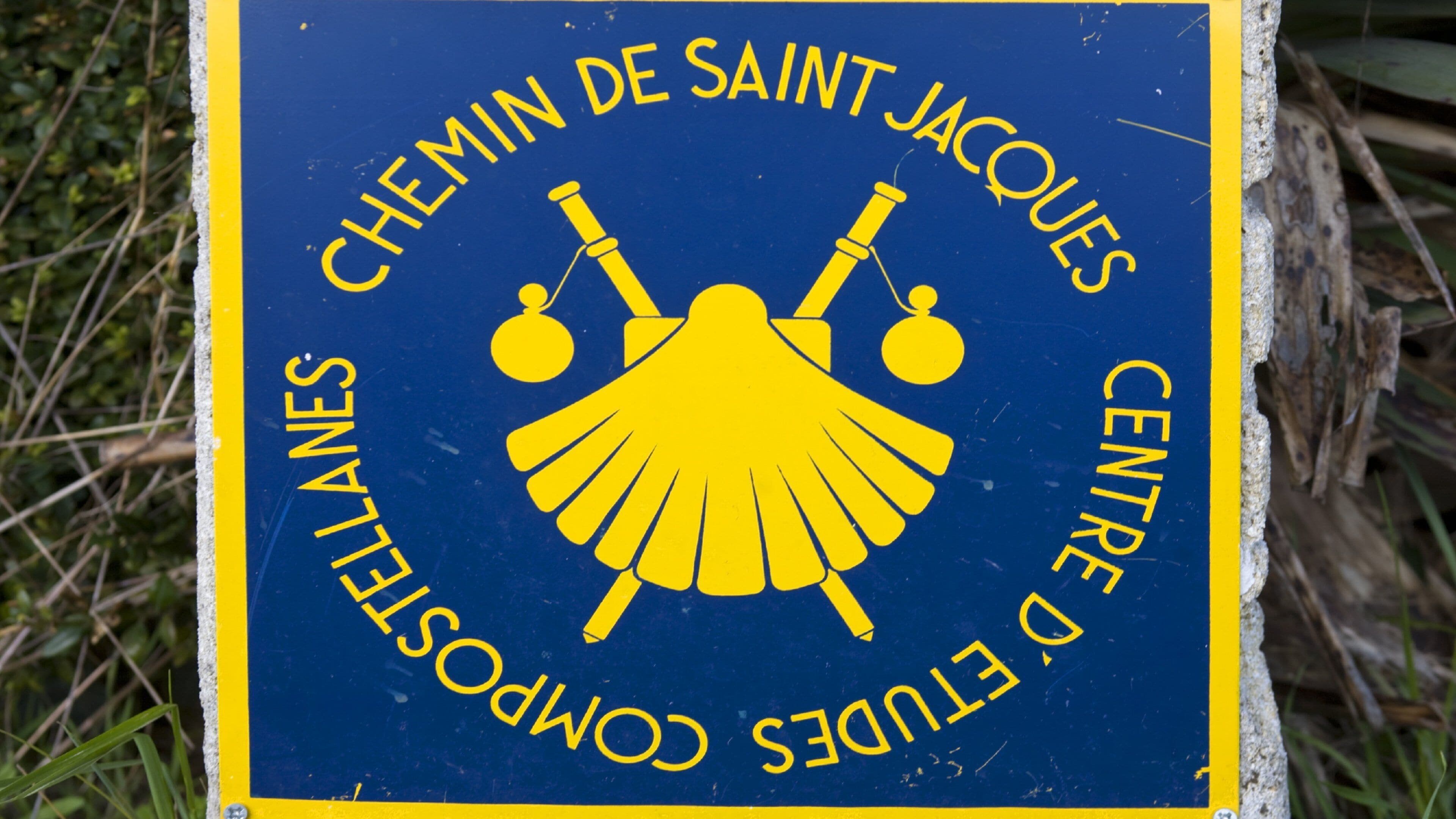 <h2>Best places to stay for families</h2>