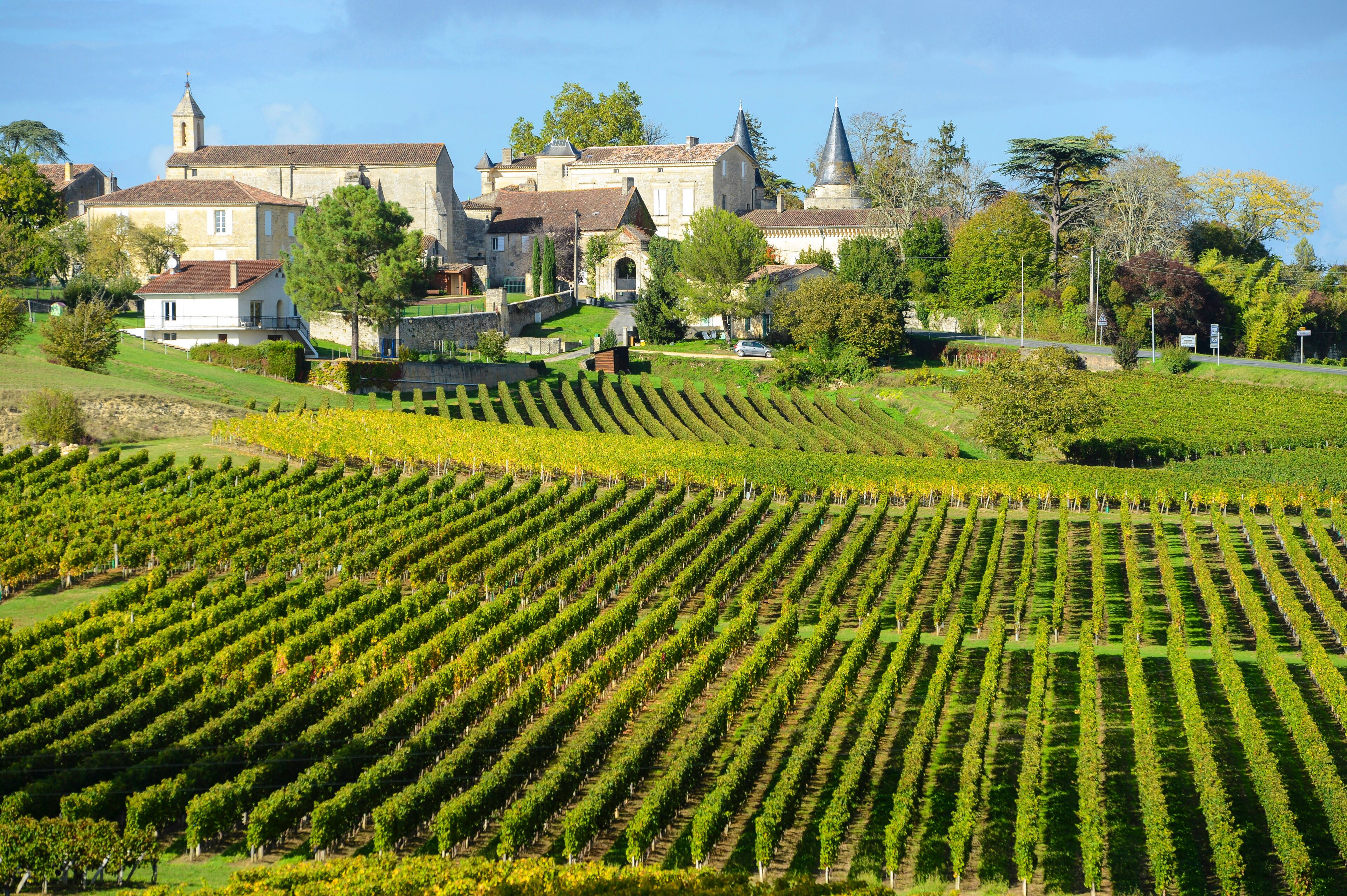 A vineyard with rows of grapevines, a historic building with a tower, and a church with a spire.