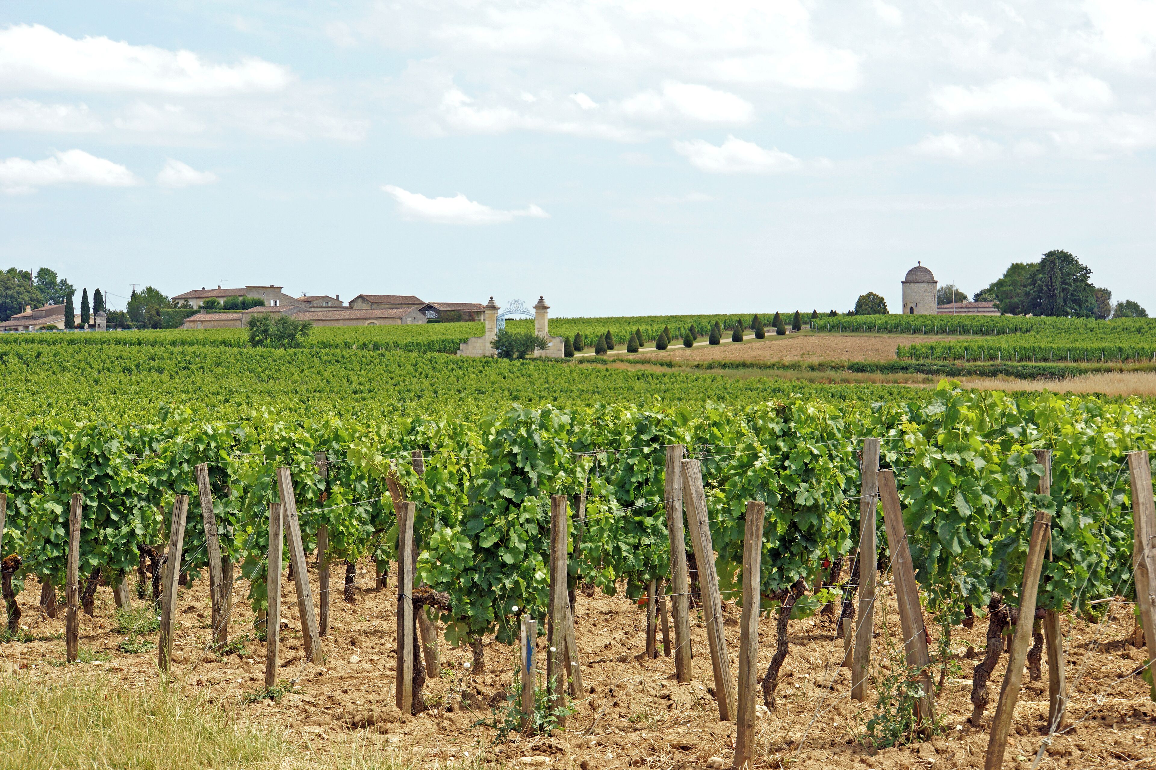 O que fazer em Saint-Émilion. Melhores dicas para 2026 | Expedia Turismo