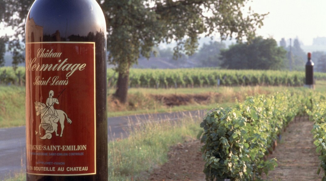 Saint-Emilion which includes drinks or beverages and landscape views