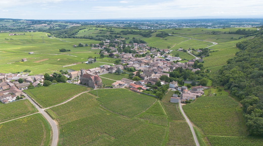 Fuissé est une commune française située dans le département de Saône-et-Loire, en Bourgogne-Franche-Comté, célèbre pour son vignoble et son vin Pouilly-Fuissé