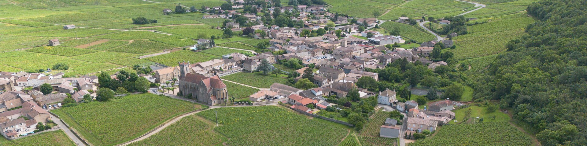 Fuissé est une commune française située dans le département de Saône-et-Loire, en Bourgogne-Franche-Comté, célèbre pour son vignoble et son vin Pouilly-Fuissé