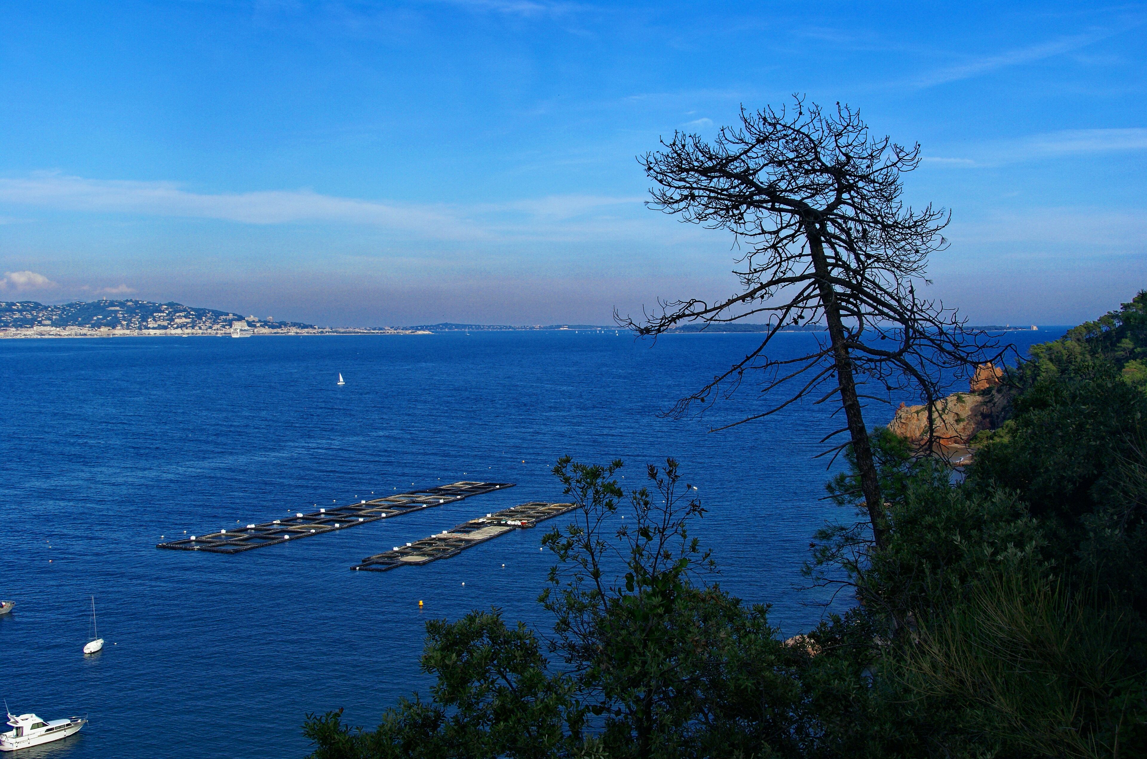 Théoule-sur-Mer - Boulevard de la Corniche d'Or - View NE