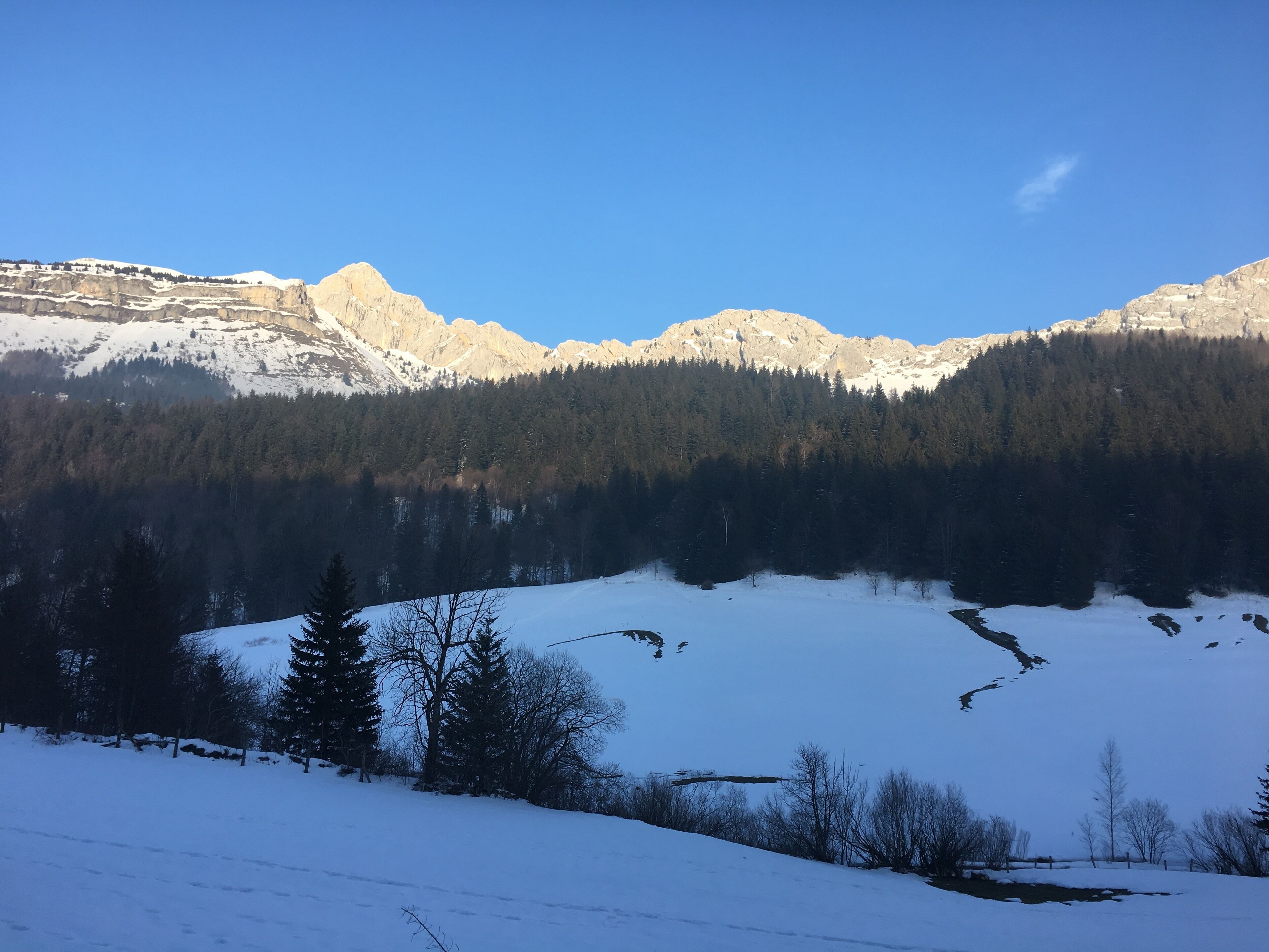 A snow-covered mountain range with a forested valley.