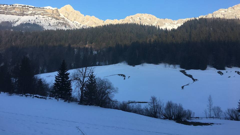 A snow-covered mountain range with a forested valley.