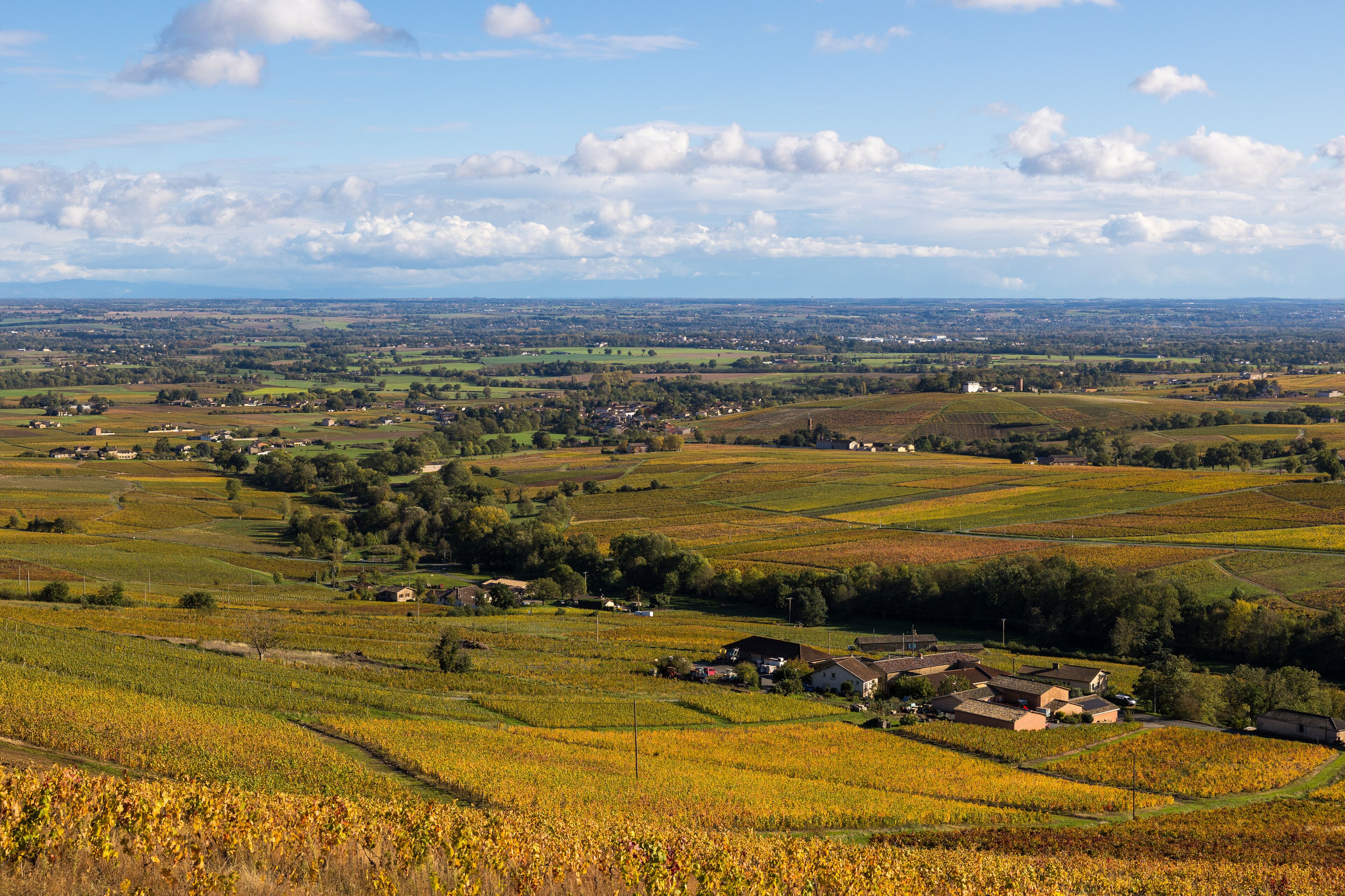 فيفرانش سور ساون