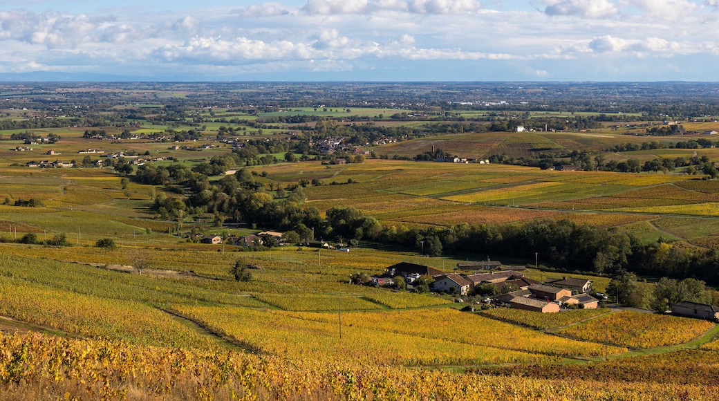 فيفرانش سور ساون