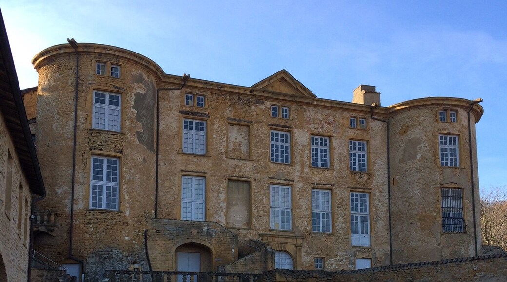 Château de Theizé en Beaujolais