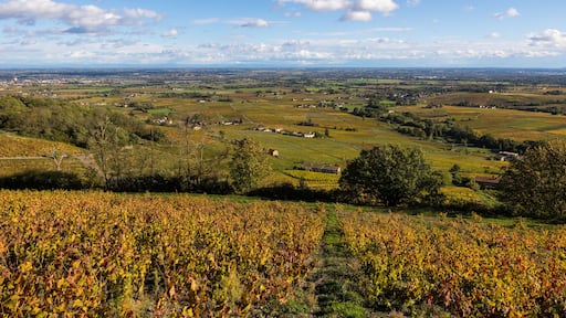 Villefranche-sur-Saône
