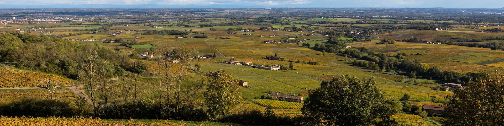 Paysage de la plaine de Villefranche-sur-Saône depuis le sommet du Mont Brouilly