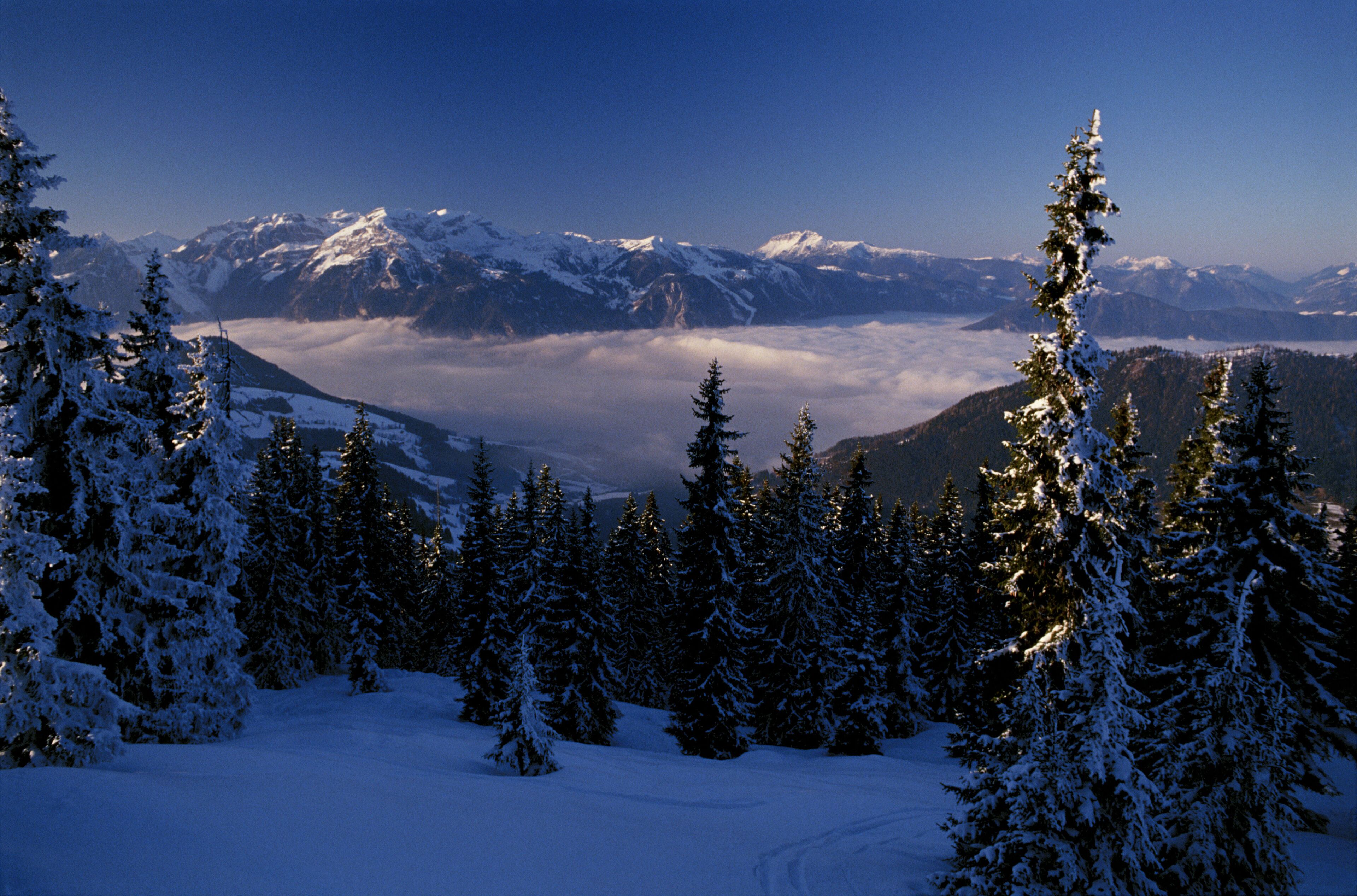 A snow-covered mountain range with evergreen trees and a clear sky.