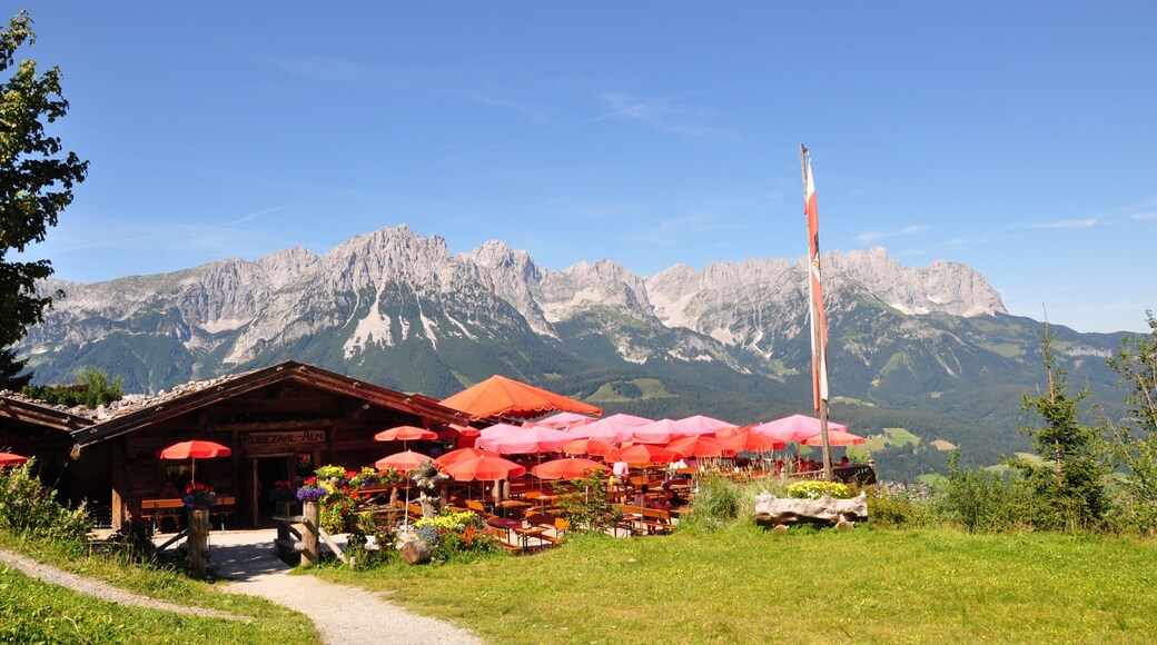 Ellmau mostrando montañas