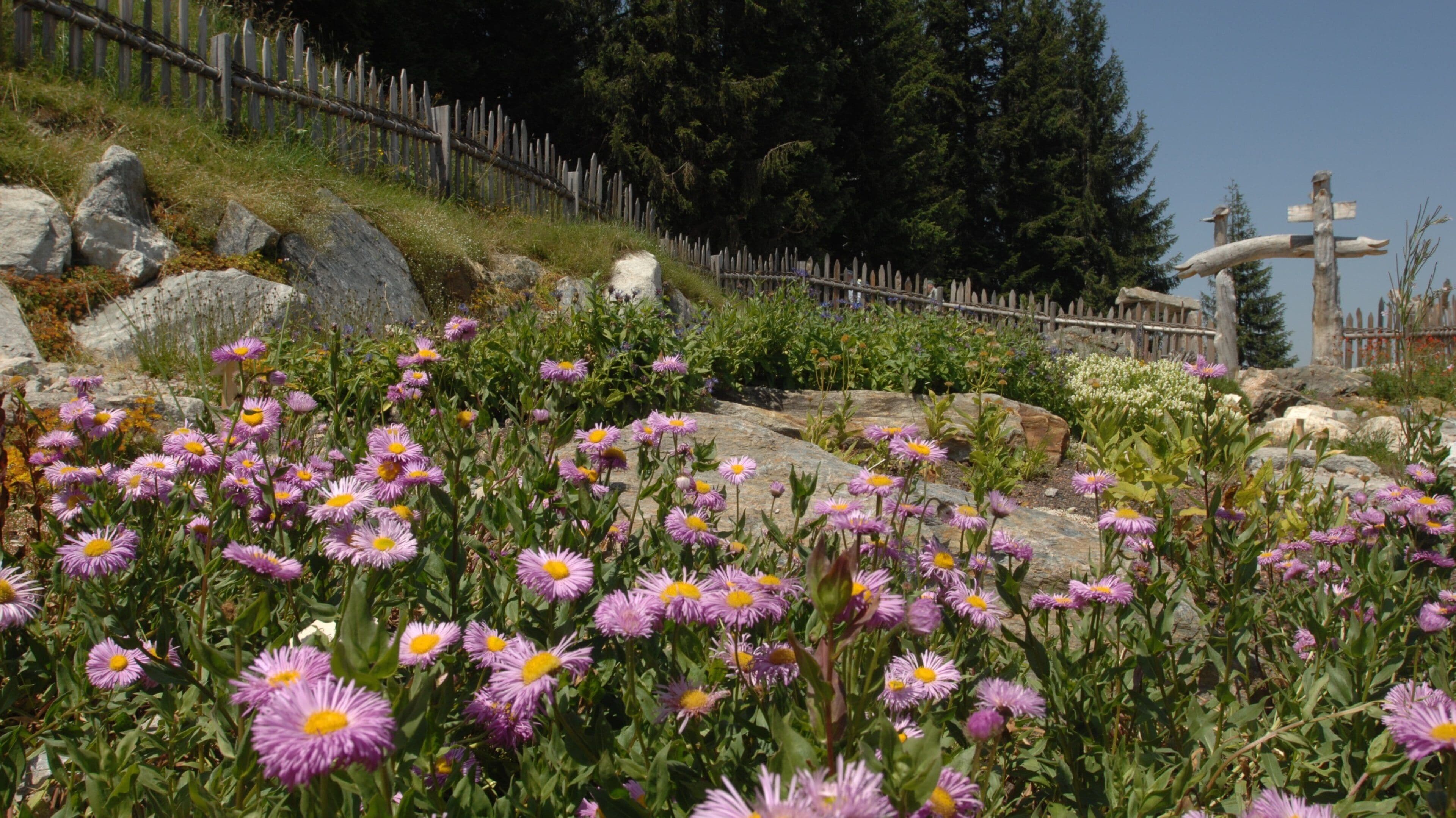 Ellmau which includes flowers and a garden