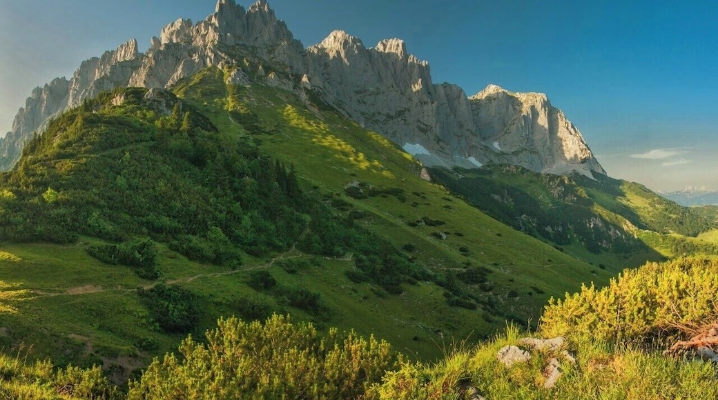 July 2015
Wilder Kaiser mountains, North Tyrolia, Austria
View of the main range of Wilder Kaiser mountains. They belong to the Northeastern Limestone Alps and rise up to 2.400 meters of height. You can either climb the jagged peaks or you can hike just below their white walls. The traditional hike route is called the Adlerweg (=Eagle's path) and its part in Wilder Kaiser from St. Johann to Kufstein takes an easy although distance-wise longer 3-day hike.
The meadows slope is called the Baumgartenalm and in the view from Baumgartenkreuz 1.572 m you can see from left to right the summits of Regalpspitze (2.253 m), Ackerlspitze (2.329 m) and Maukspitze (2.231 m).